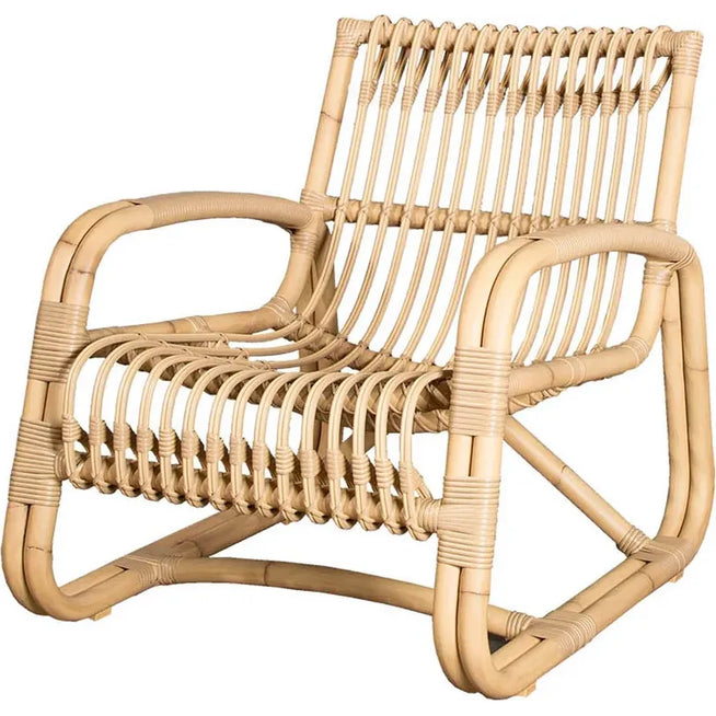 Photo of Curve Lounge Chair