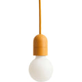 Thumbnail photo of Common Pendant Cord Set