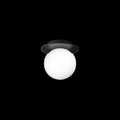 Thumbnail photo of Liila 1 Medium Wall Lamp/Ceiling Lamp