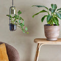Thumbnail photo of Led Pendant Light Gold Finished Glass