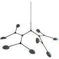 Thumbnail photo of Drop Chandelier