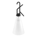 Thumbnail photo of May Day Outdoor Lamp