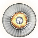 New Wave Optic Wall Lamp 1