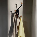 Thumbnail photo of Capture SC74 Hook
