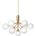 Thumbnail photo of Apiales 9 Chandelier