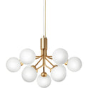 Apiales 9 Chandelier