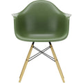 Eames Plastic Armchair Daw - 48 Forest - Ash Honey Tone - Matstolar - Charles & Ray Eames - Grön - Metall/trä/plast
