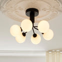 Apiales 6 Chandelier