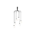 Thumbnail photo of Apiales Cluster 6 Chandelier
