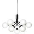 Thumbnail photo of Apiales 9 Chandelier Satin