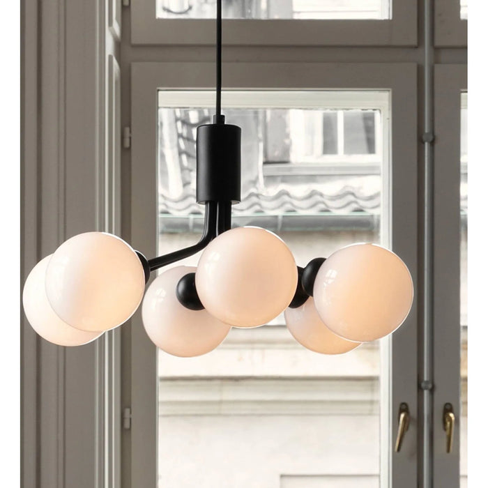 Photo of Apiales 6 Chandelier