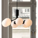 Apiales 6 Chandelier