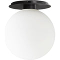 Thumbnail photo of TR Bulb Wall / Ceiling Lamp