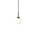 Thumbnail photo of Apiales 1 Pendant