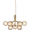 Thumbnail photo of Apiales 9 Chandelier