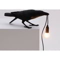 Thumbnail photo of Bird Lamp Playing Black Outdoors