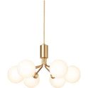 Apiales 6 Chandelier