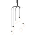 Thumbnail photo of Apiales Cluster 6 Chandelier