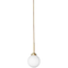 Apiales 1 Pendant