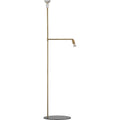 Thumbnail photo of Galax, Raw Brass - Uplight - Jonas Bohlin - Gold