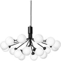 Thumbnail photo of Apiales 18 Chandelier