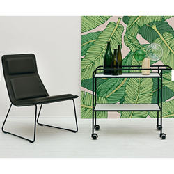 Photo of Low Pad Chair