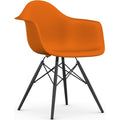 Eames Plastic Armchair Daw - 43 Rusty Orange - Black Maple - Matstolar - Charles & Ray Eames - Orange - Metall/trä/plast