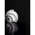 Thumbnail photo of In-A Mendori BirdSlampa - Bourdslampore - Issei Miyake - Vit