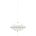 Thumbnail photo of Clam Pendant Lamp