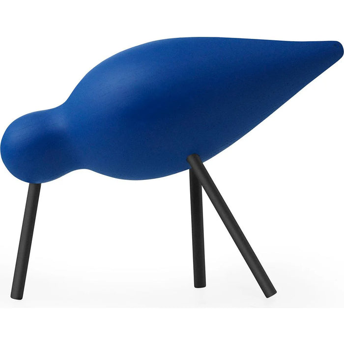 Photo of Shorebird Medium