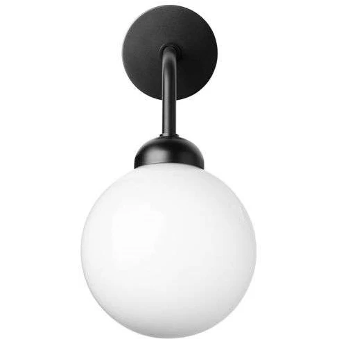 Photo of Apiales Wall Lamp Hardwired