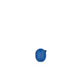 Thumbnail photo of Little Bird Colour