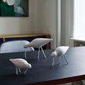 Thumbnail photo of Shorebird Oak-white