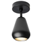 Anoli Spot Surface Wall/ceiling Lamp