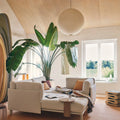 Thumbnail photo of Akari 55a - Pendant Lamps - White