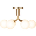 Thumbnail photo of Apiales 6 Ceiling Lamp Brushed