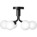 Thumbnail photo of Apiales 6 Chandelier