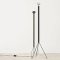 Thumbnail photo of Luminator Floor Lamp