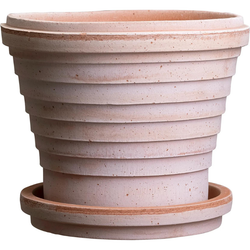Photo of Planets Plant Pot