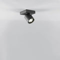 Thumbnail photo of Focus Mini 1 - Black - Spotlights - Ronni Gol - Svart