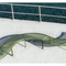 Thumbnail photo of Palissade Park Bench incl. middle leg
