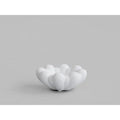 Thumbnail photo of Bloom Tray Mini