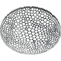 Thumbnail photo of Calipso Ceiling Lamp