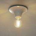 Thumbnail photo of Teti Ceiling Lamp/wall Lamp