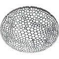 Thumbnail photo of Calipso Ceiling Lamp