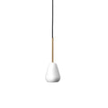 Thumbnail photo of Anoli Spot Pendant