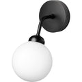 Thumbnail photo of Apiales Wall Lamp