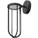 In Vitro Outdoor Wall Lamp