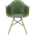Thumbnail photo of Eames Plastic Armchair Daw - 48 Forest - Ash Honey Tone - Dining Chairs - Green - Metal/wood/plastic