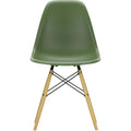 Eames Plastic Chair Dsw - 48 Forest - Golden Maple - Matstolar - Charles & Ray Eames - Grön - Metall/trä/plast